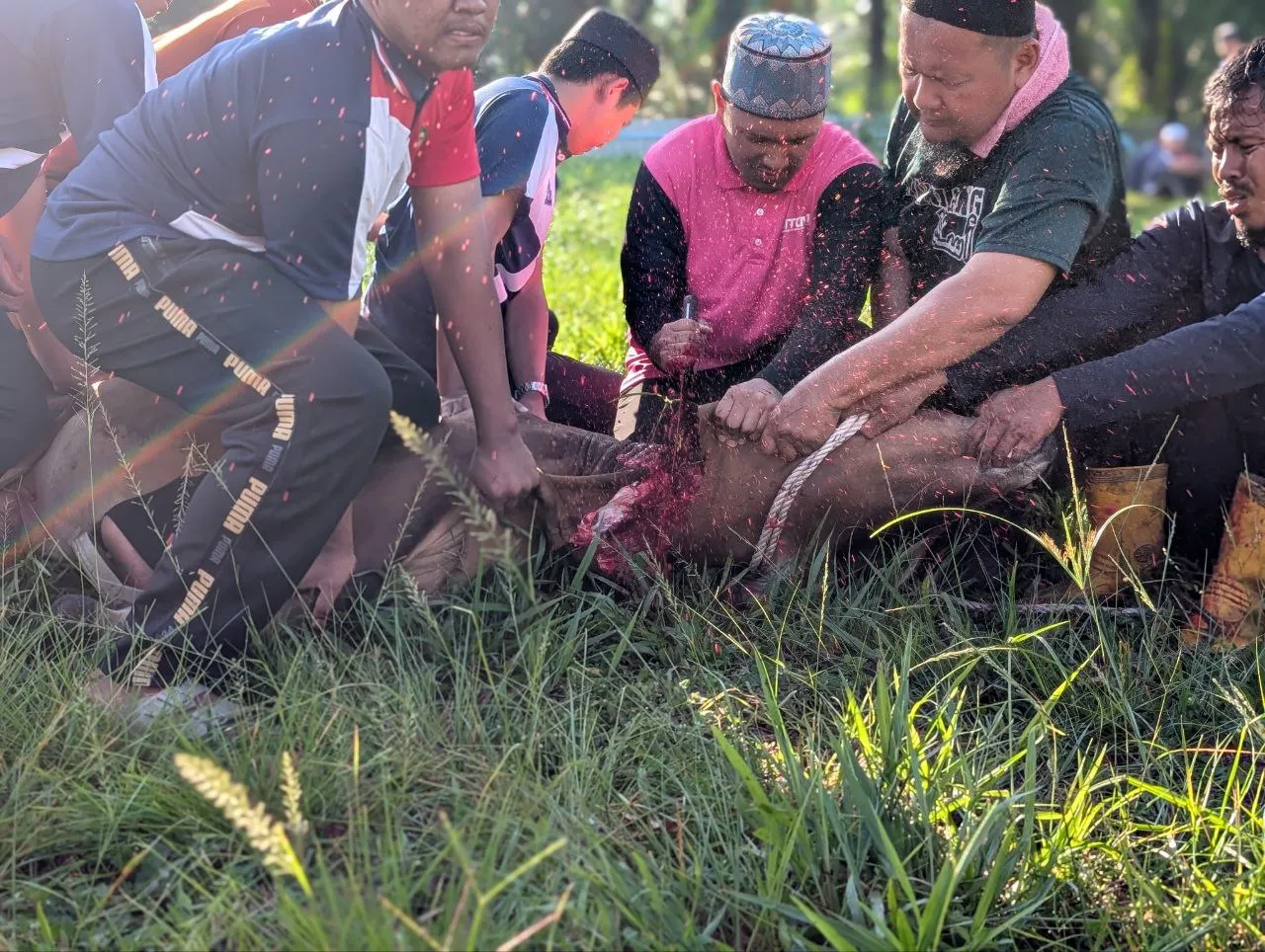 Aktiviti ibadah korban melibatkan guru dan pelajar tahfiz secara bergotong-royong.